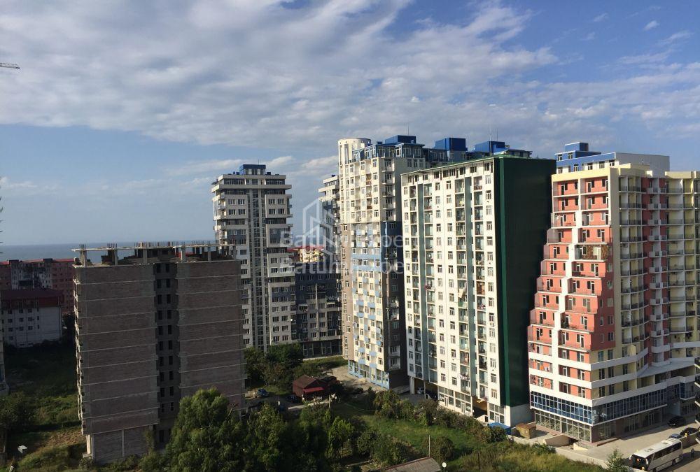Apartment 60 m² - Shalva Inasaridze, Batumi, Georgia