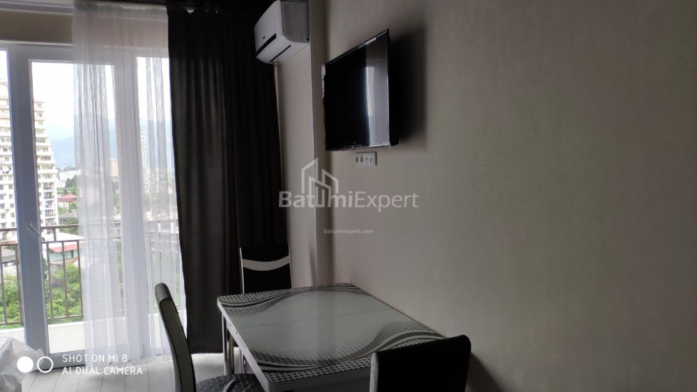 Apartment 32.1 m² - Shalva Inasaridze, Batumi, Georgia