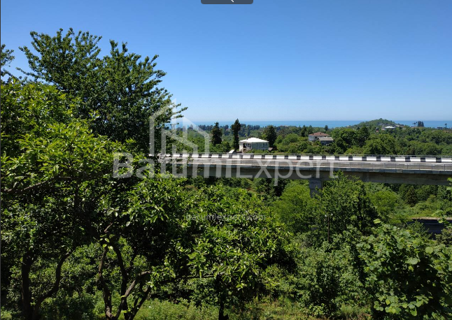 Land plot 536 m² - Agmashenebeli, Chakvi, Georgia