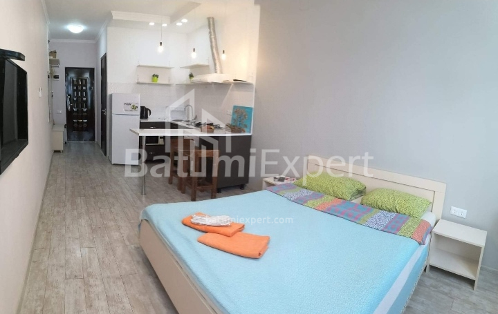 Apartment 29 m² - Zurab Gorgiladze, Batumi, Georgia