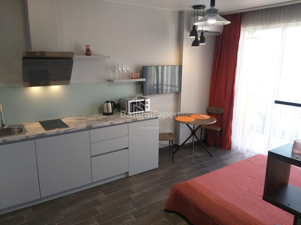 Apartment 31.3 m² - Shalva Inasaridze, Batumi, Georgia