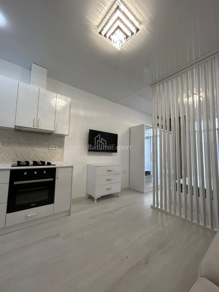 Apartment 34.7 m² - Niko Pirosmani, Batumi, Georgia