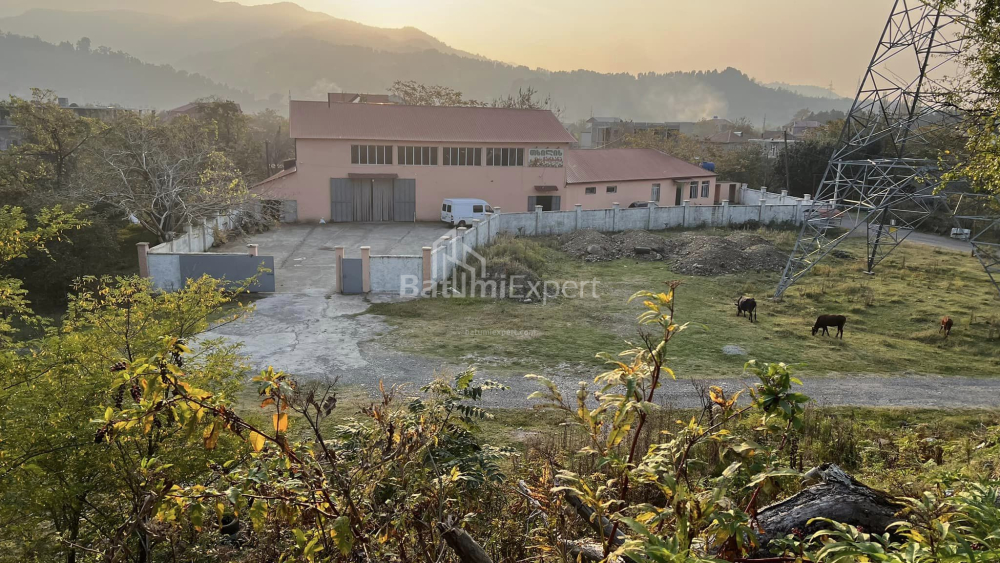 Рroduction area 2320 m² - Akaki Shainidze, Khelvachauri, Georgia