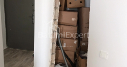 Apartment 48 m² - Palavandishvili, Batumi, Georgia