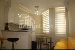 Apartment 29 m² - Zurab Gorgiladze, Batumi, Georgia