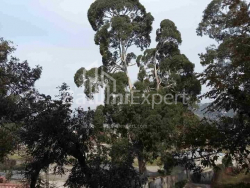 Apartment 3-room 75 m² - Fridon Khalvashi, Batumi
