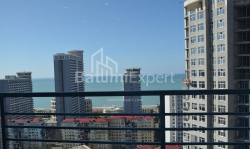 Apartment 2-room 82 m² - Niko Pirosmani, Batumi