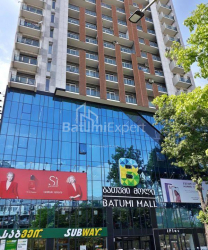 Apartment 46 m² - Zurab Gorgiladze, Batumi, Georgia