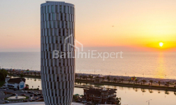 Apartment 1-room 30 m² - Zurab Gorgiladze, Batumi