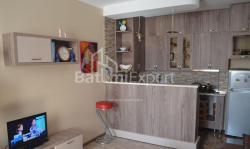 Apartment 3-room 64 m² - Shalva Inasaridze, Batumi