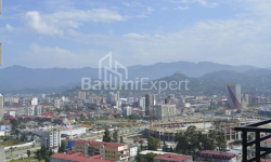 Apartment 31 m² - Niko Pirosmani, Batumi, Georgia