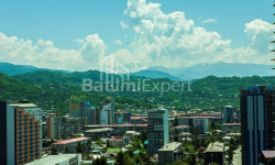 Apartment 62 m² - Vakhtang Gorgasali, Batumi, Georgia
