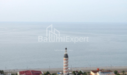 Apartment 2-room 40 m² - Niko Pirosmani, Batumi