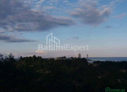 Land plot 300 m² - Yuryevskaya, Batumi, Georgia