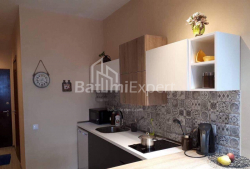 Apartment 2-room 35 m² - Shalva Inasaridze, Batumi