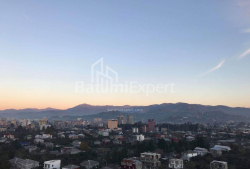 Apartment 36 m² - Grigol Eliava, Batumi, Georgia