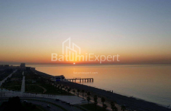 Apartment 2-room 48 m² - Sherif Khimshiashvili, Batumi