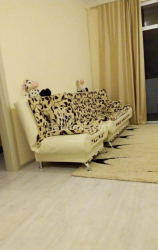 Apartment 55 m² - Mikhail Lermontov, Batumi, Georgia