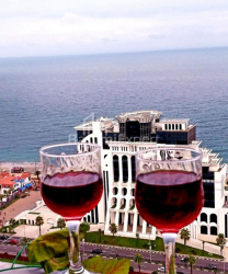 Apartment 3-room 45 m² - Shalva Inasaridze, Batumi