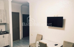 Apartment 40 m² - Tbel-Abuseridze, Batumi, Georgia