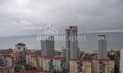Apartment 2-room 43 m² - Niko Pirosmani, Batumi