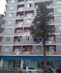 Apartment 47 m² - Vakhtang Gorgasali, Batumi, Georgia