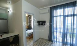 Apartment 40 m² - Yuryevskaya, Batumi, Georgia
