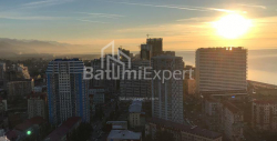 Apartment 2-room 54 m² - Niko Pirosmani, Batumi