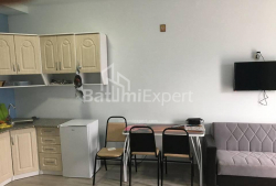 Apartment 38 m² - Yuryevskaya, Batumi, Georgia