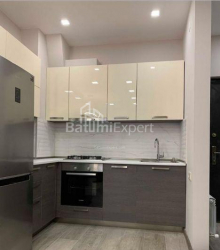 Apartment 2-room 56 m² - Davit Agmashenebeli, Batumi