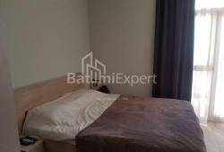 Apartment 23 m² - Peter Bagrationi, Batumi, Georgia