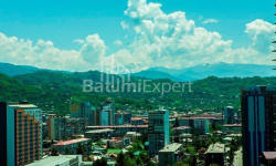 Apartment 62 m² - Vakhtang Gorgasali, Batumi, Georgia