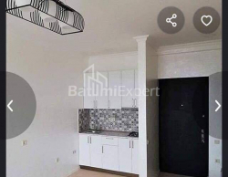 Apartment 2-room 45 m² - Ilia Chavchavadze, Batumi