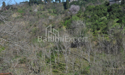 Apartment 2-room 170 m² - Yuryevskaya, Batumi