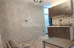 Apartment 2-room 40 m² - Niko Pirosmani, Batumi