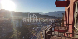 Apartment 1-room 28 m² - Peter Bagrationi, Batumi