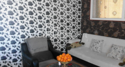 Apartment 3-room 65 m² - Niko Pirosmani, Batumi