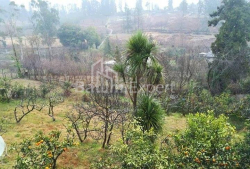 Apartment 8-room 250 m² - Yuryevskaya, Batumi