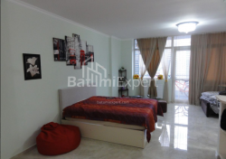 Apartment 50 m² - Niko Pirosmani, Batumi, Georgia