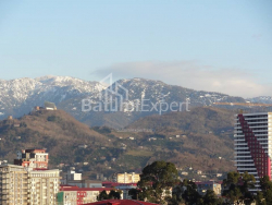Apartment 1-room 33 m² - Niko Pirosmani, Batumi