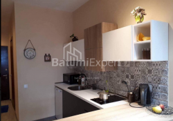 Apartment 34 m² - Shalva Inasaridze, Batumi, Georgia