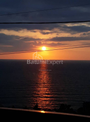 Private house 1830 m² - Agmashenebeli, Chakvi, Georgia