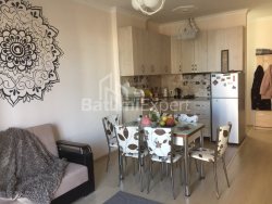 Apartment 50 m² - Selim Khimshiashvili, Batumi, Georgia