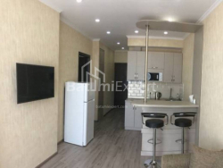 Apartment 48.2 m² - Shalva Inasaridze, Batumi, Georgia