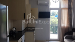 Apartment 30 m² - Akhalgazrdoba, Makhinjauri, Georgia