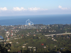 Private house 5000 m² - Mezgvaurta, Chakvi, Georgia