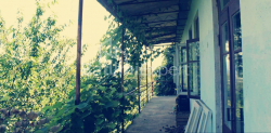 Private house 3065 m² - Agmashenebeli, Chakvi, Georgia