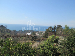 Private house 4000 m² - David Agmashenebeli, Kobuleti, Georgia