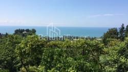 Private house 4000 m² - David Agmashenebeli, Kobuleti, Georgia