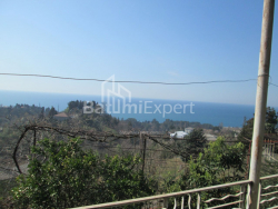 Private house 4000 m² - David Agmashenebeli, Kobuleti, Georgia